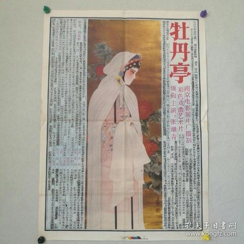 猫咪cfa证书