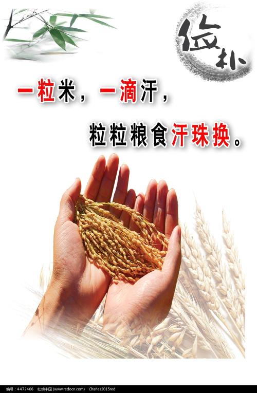 哪里可以办阿联酋驾驶执照